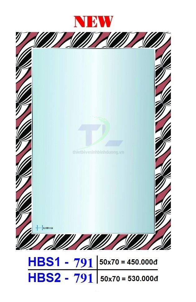 Gương soi phòng tắm HOBIG HBS1-791